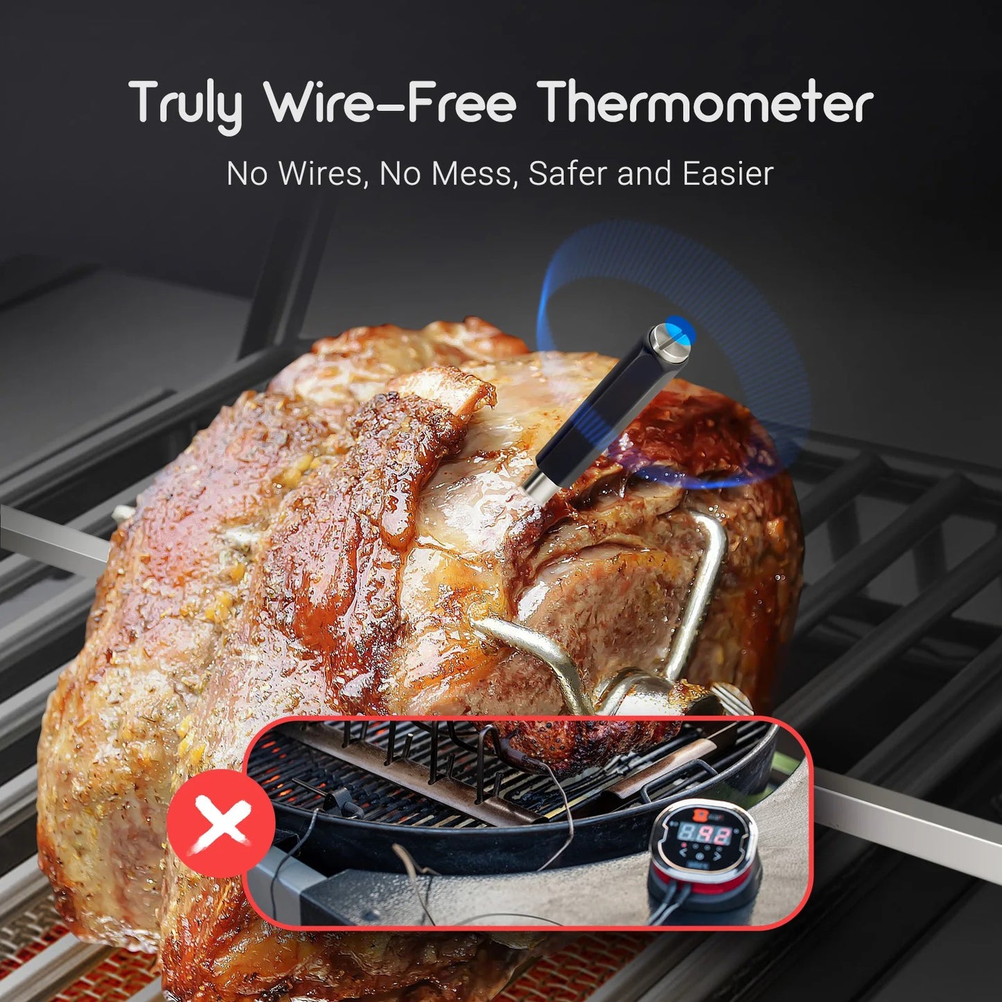 Tempwise Smart Oven Thermometer